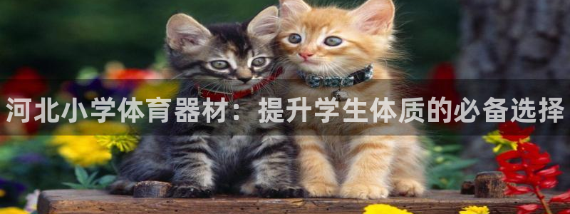 耀世娱乐登录地址在哪里:河北小学体育器材:提升学生体质的必备