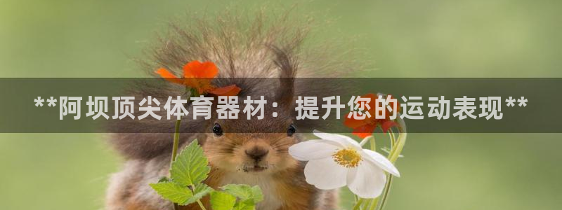 耀世平台开户要求:**阿坝顶尖体育器材:提升您的运动表现**