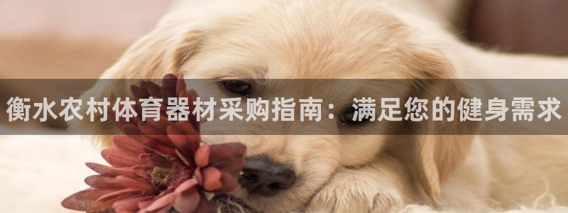 耀世娱乐可以玩吗知乎:衡水农村体育器材采购指南:满足您的健身