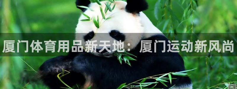 耀世娱乐官网网站入口:厦门体育用品新天地:厦门运动新风尚