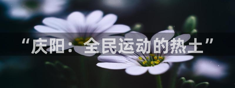 耀世国际平台正规吗可信吗:“庆阳:全民运动的热土”